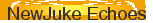 NewJuke Echoes